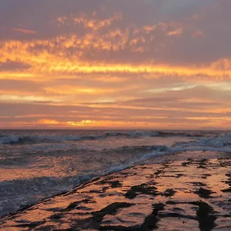 Attic In By The Appartement *