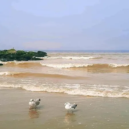 Attic In By The ניופורט