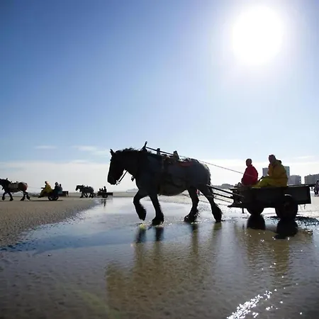 Attic In By The * Nieuport